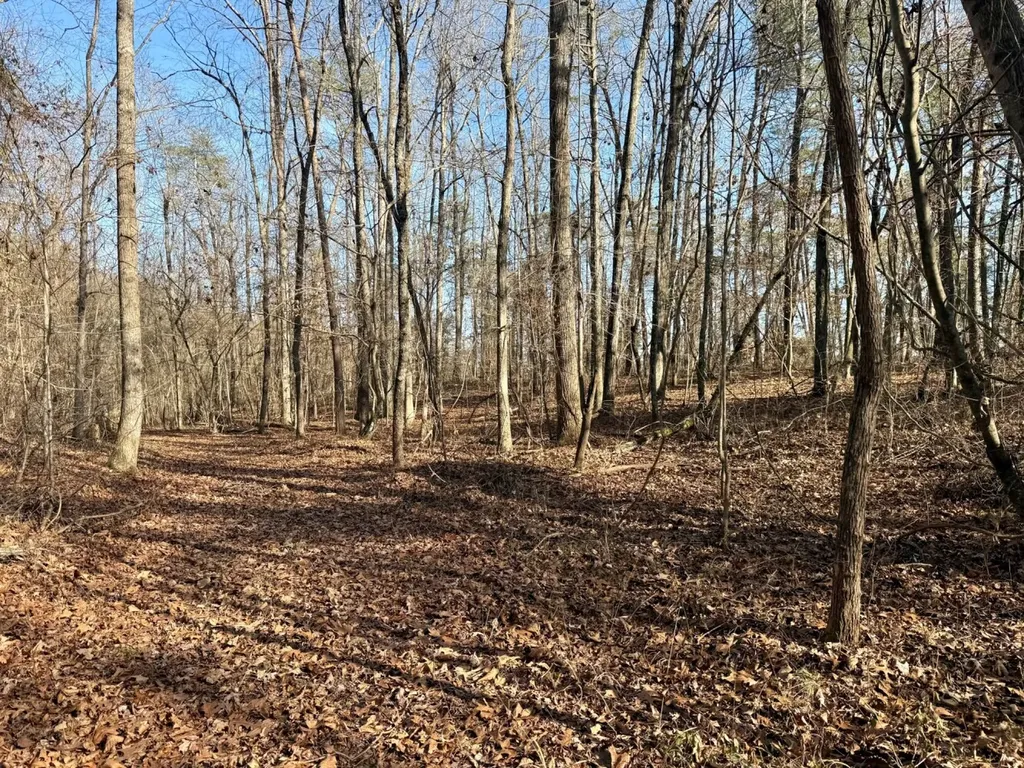 466 Mcclain Road Bessemer AL 35023