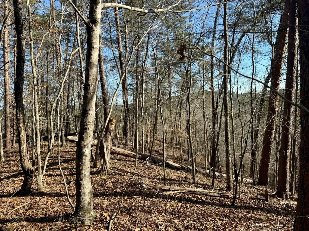 466 Mcclain Road Bessemer AL 35023