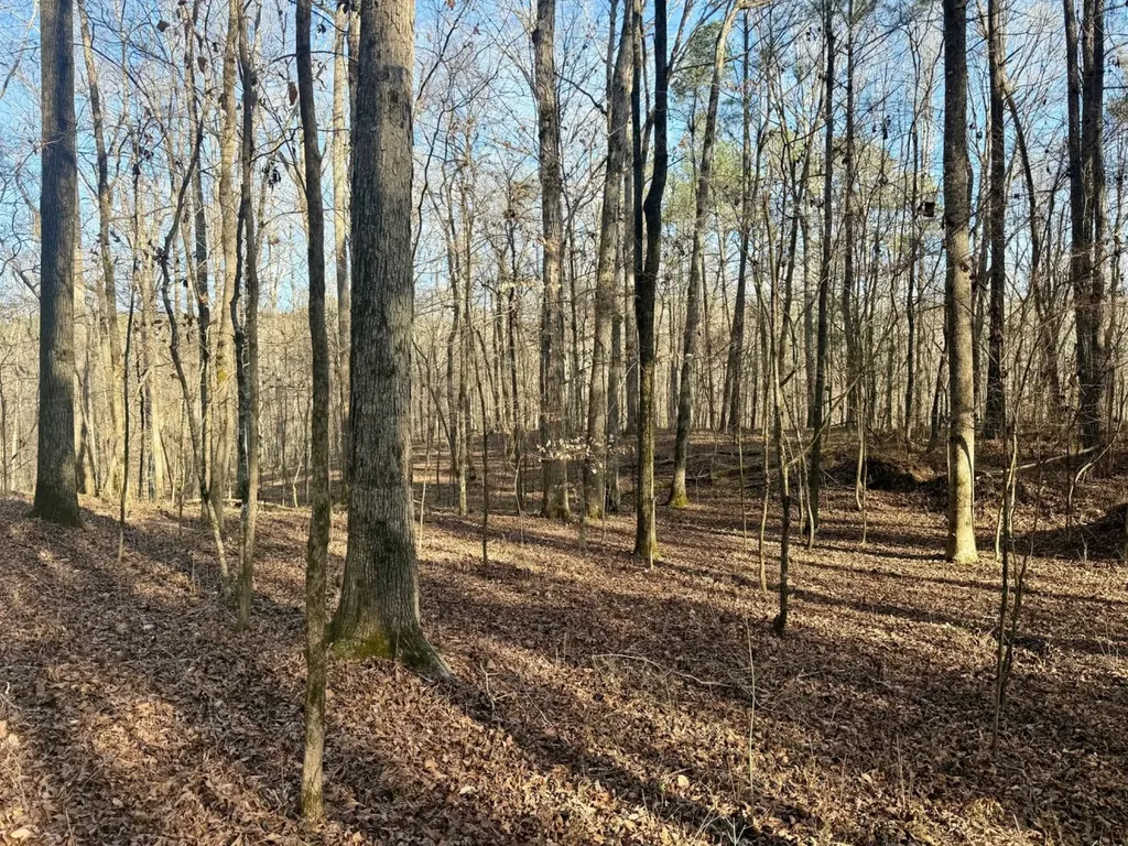466 Mcclain Road Bessemer AL 35023
