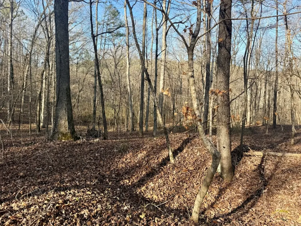 466 Mcclain Road Bessemer AL 35023