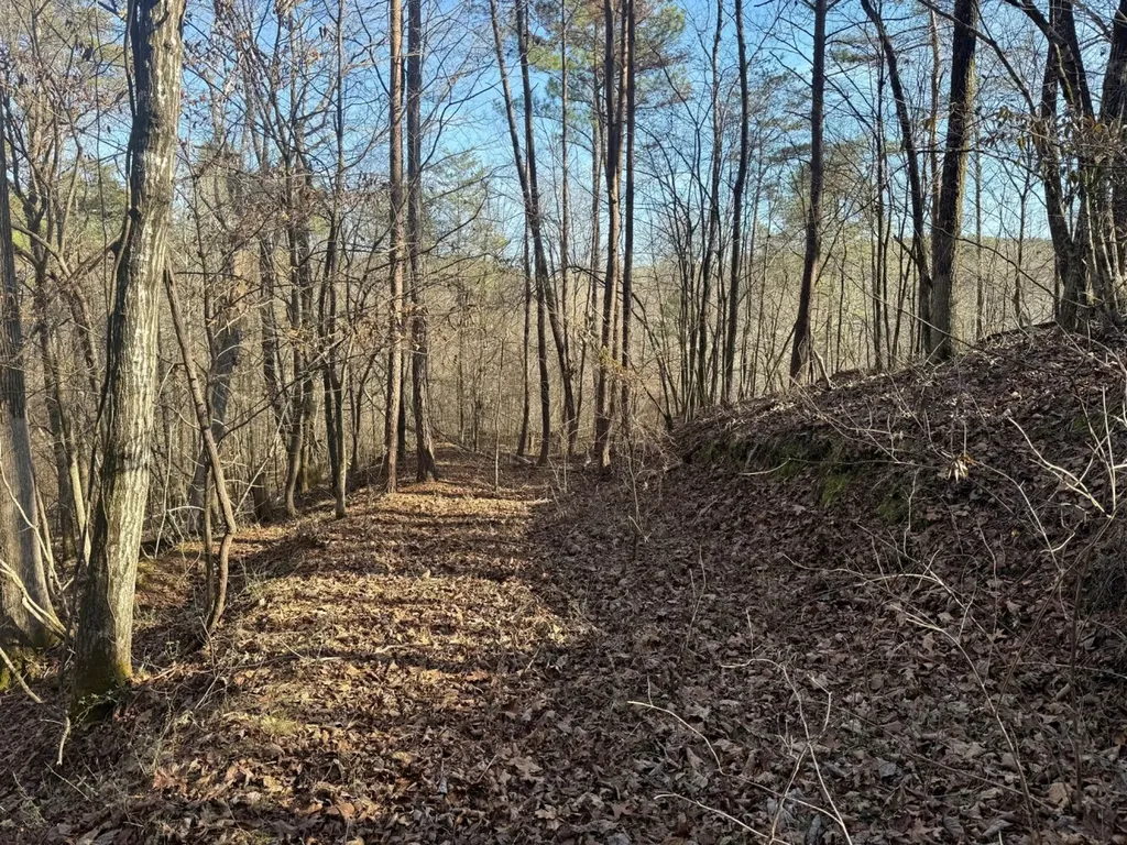 466 Mcclain Road Bessemer AL 35023