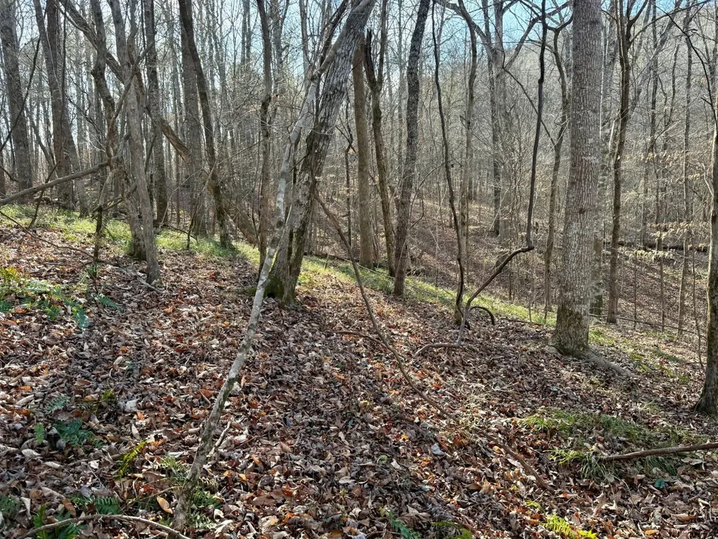 466 Mcclain Road Bessemer AL 35023