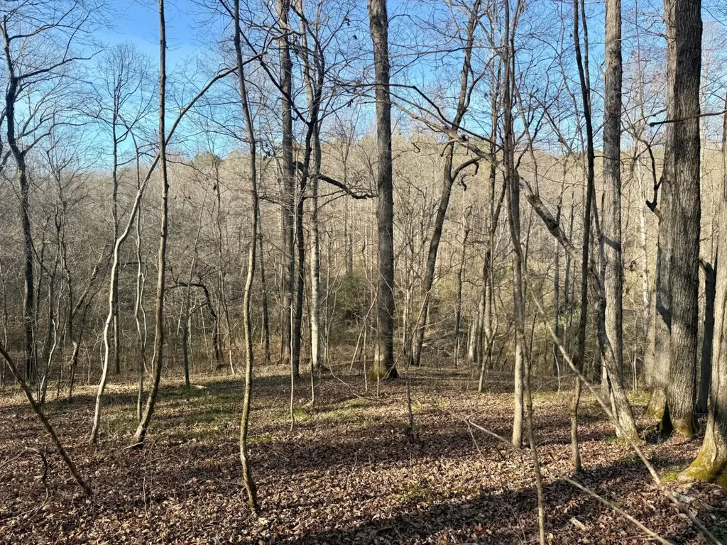466 Mcclain Road Bessemer AL 35023