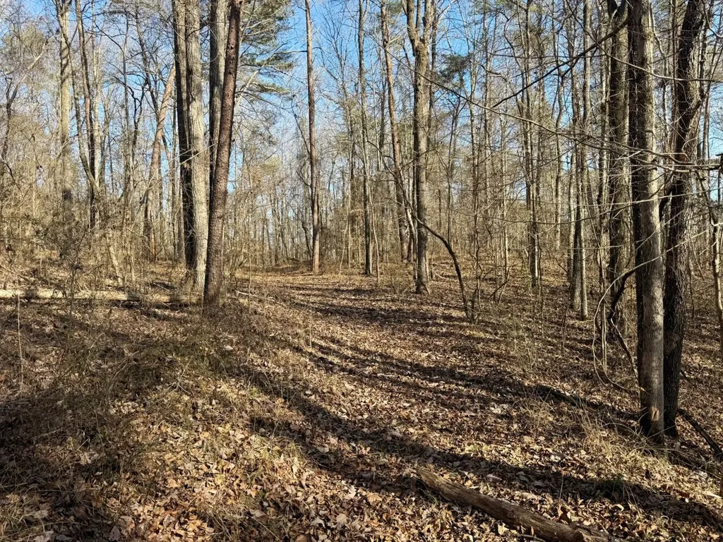 466 Mcclain Road Bessemer AL 35023