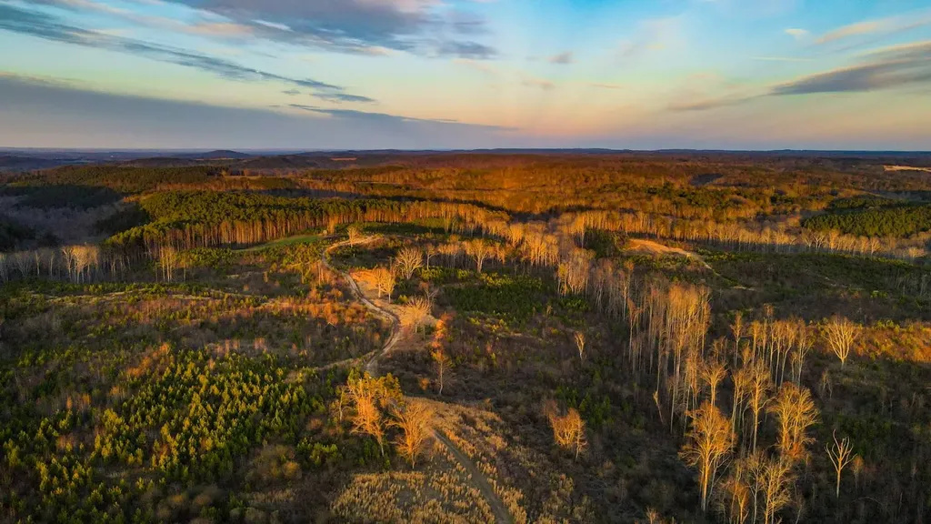 1 County Road 63 Phil Campbell AL 35581