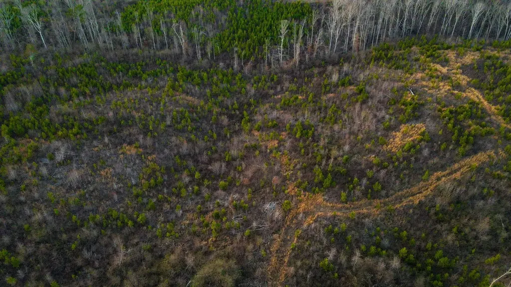 1 County Road 63 Phil Campbell AL 35581