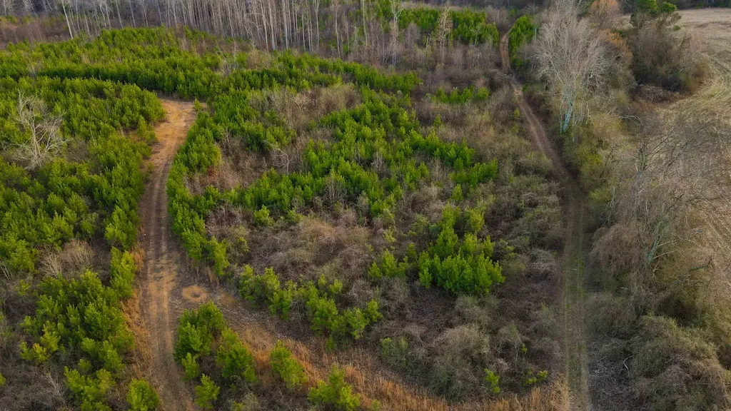 1 County Road 63 Phil Campbell AL 35581