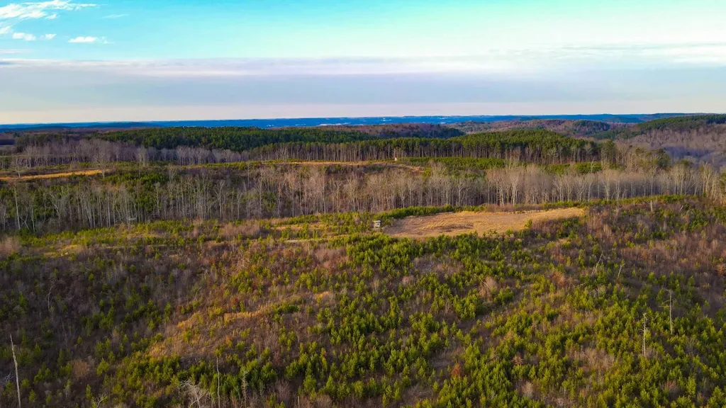 1 County Road 63 Phil Campbell AL 35581