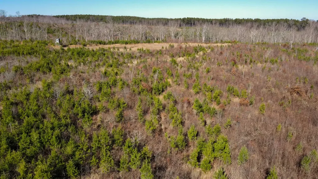 1 County Road 63 Phil Campbell AL 35581