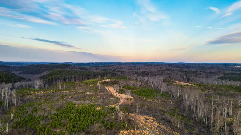 1 County Road 63 Phil Campbell AL 35581