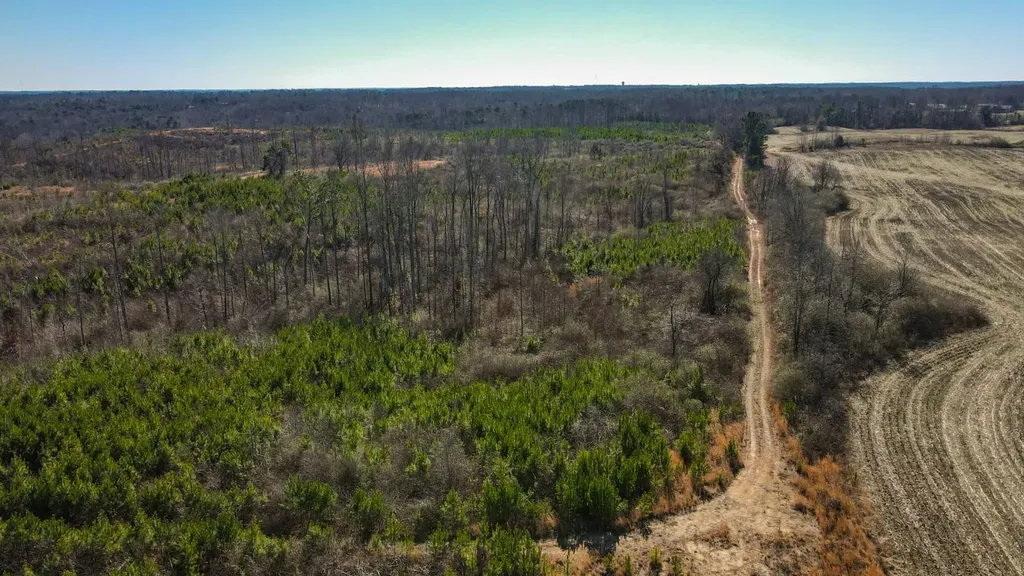 1 County Road 63 Phil Campbell AL 35581