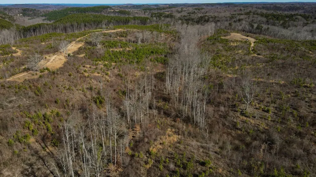 1 County Road 63 Phil Campbell AL 35581