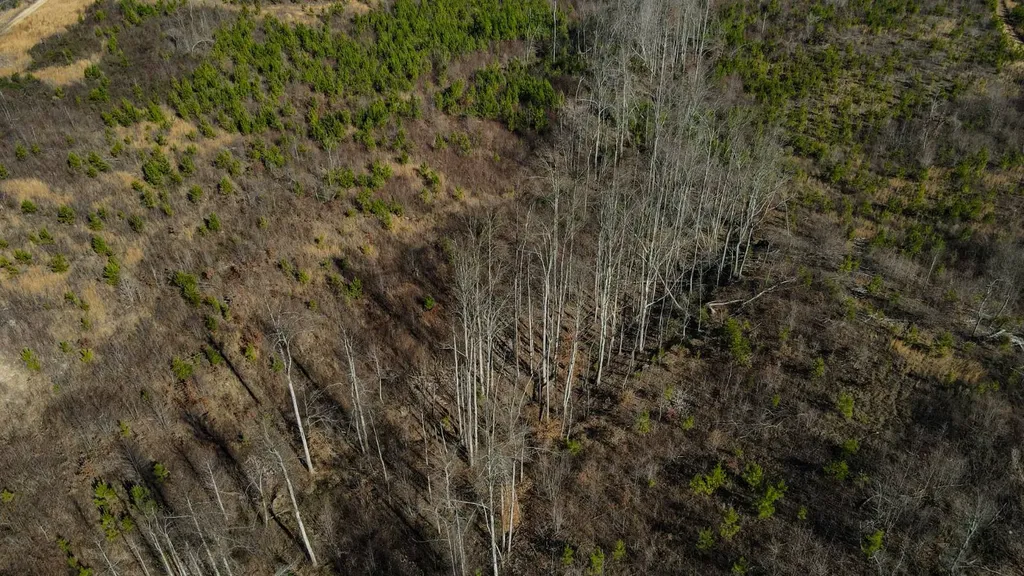 1 County Road 63 Phil Campbell AL 35581