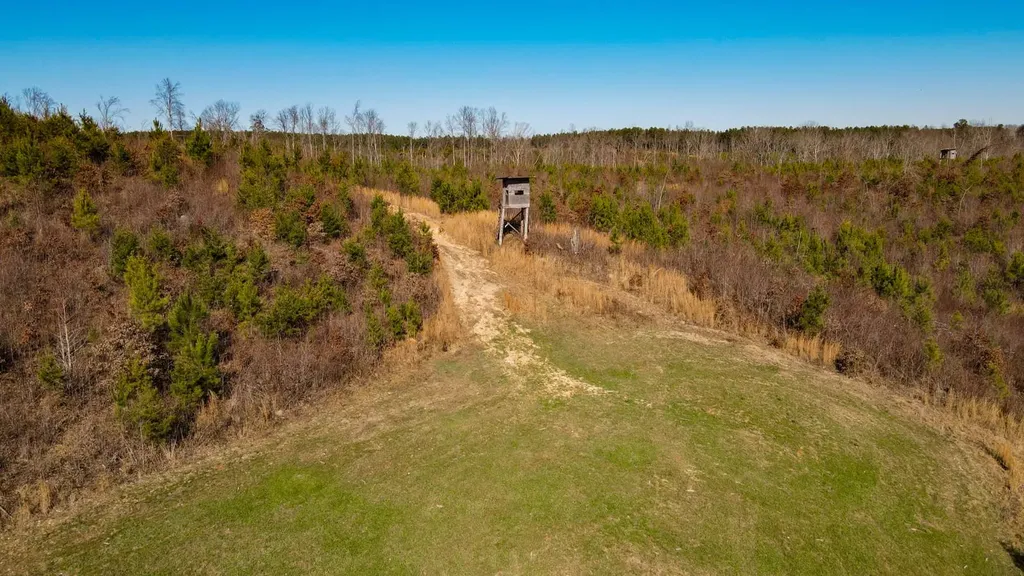 1 County Road 63 Phil Campbell AL 35581