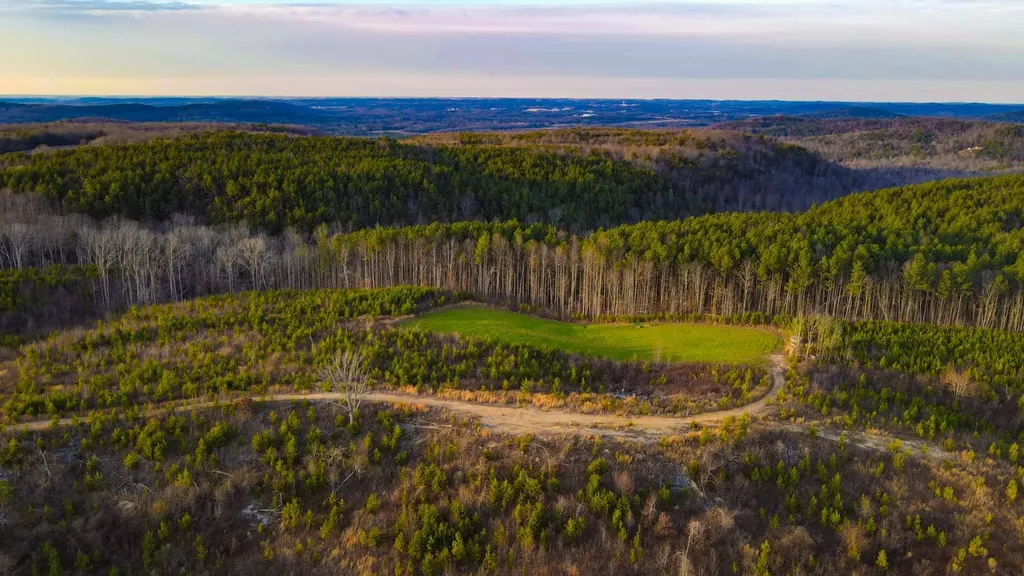 1 County Road 63 Phil Campbell AL 35581