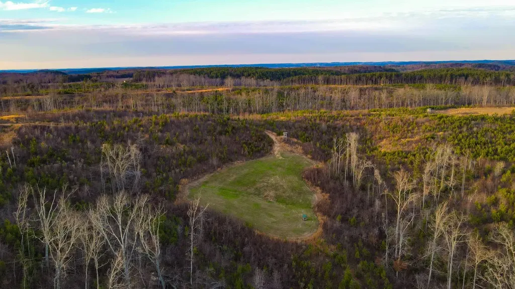 1 County Road 63 Phil Campbell AL 35581