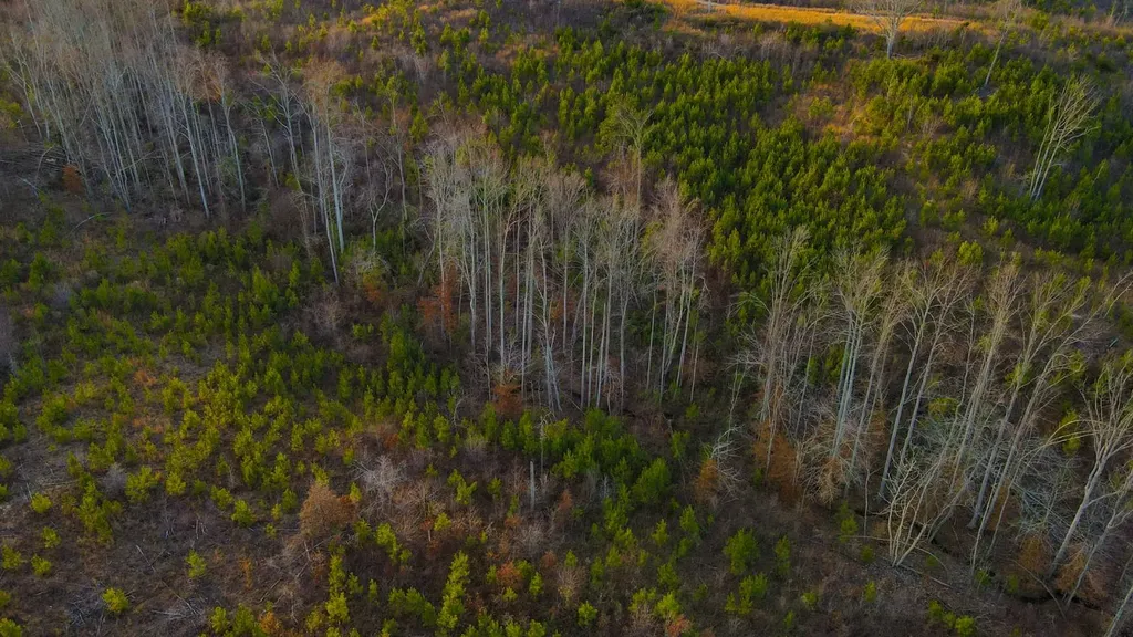 1 County Road 63 Phil Campbell AL 35581