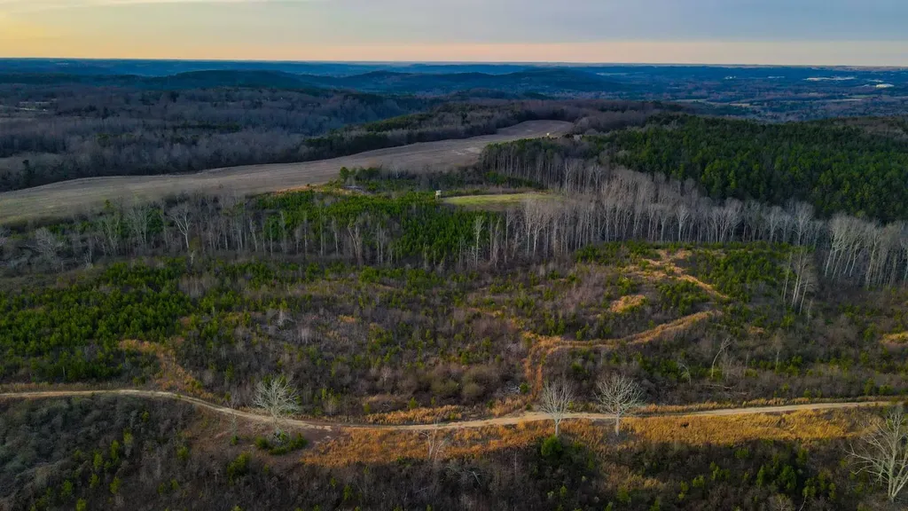 1 County Road 63 Phil Campbell AL 35581