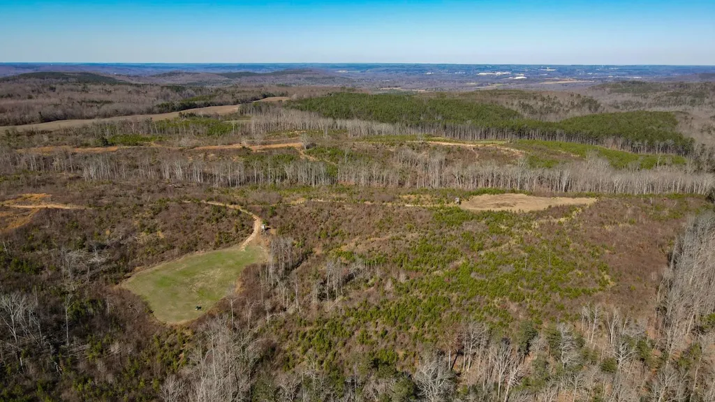 1 County Road 63 Phil Campbell AL 35581