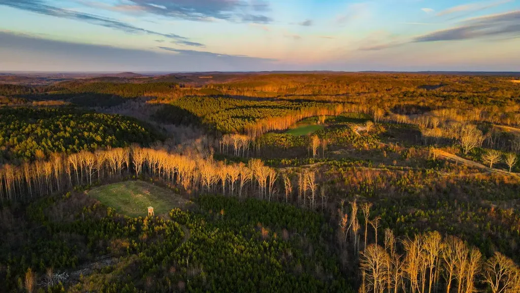 1 County Road 63 Phil Campbell AL 35581