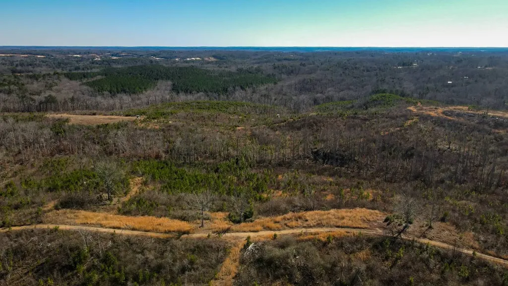 1 County Road 63 Phil Campbell AL 35581