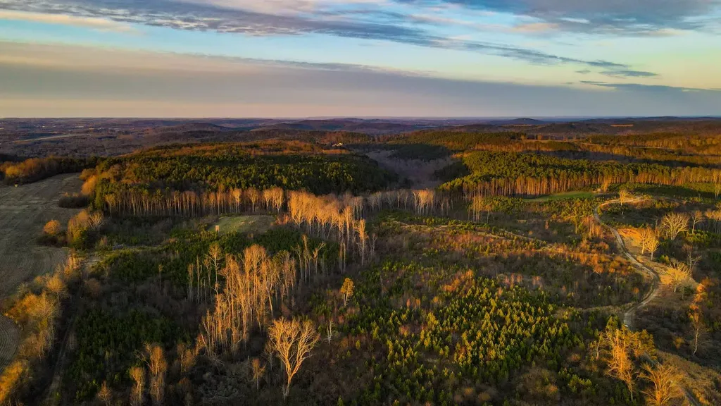 1 County Road 63 Phil Campbell AL 35581