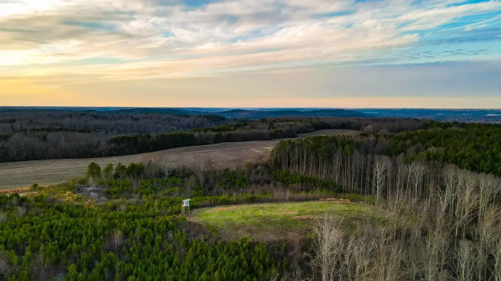 1 County Road 63 Phil Campbell AL 35581