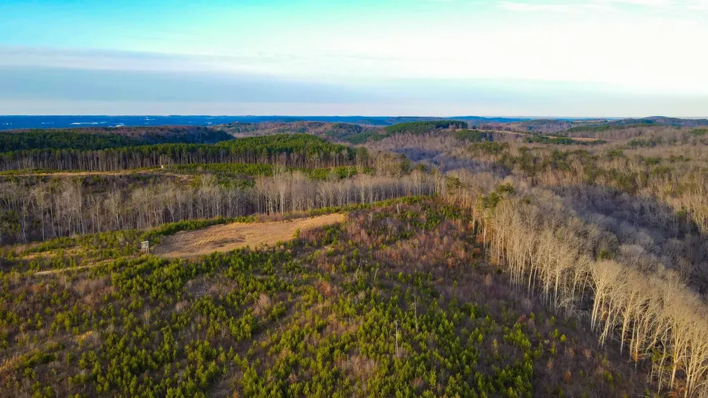 1 County Road 63 Phil Campbell AL 35581