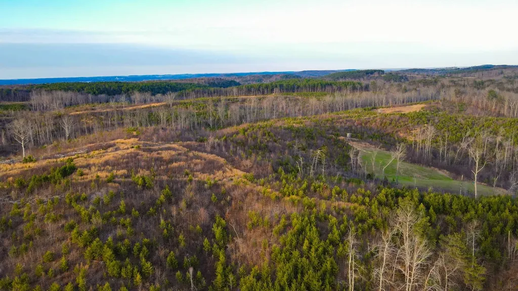 1 County Road 63 Phil Campbell AL 35581