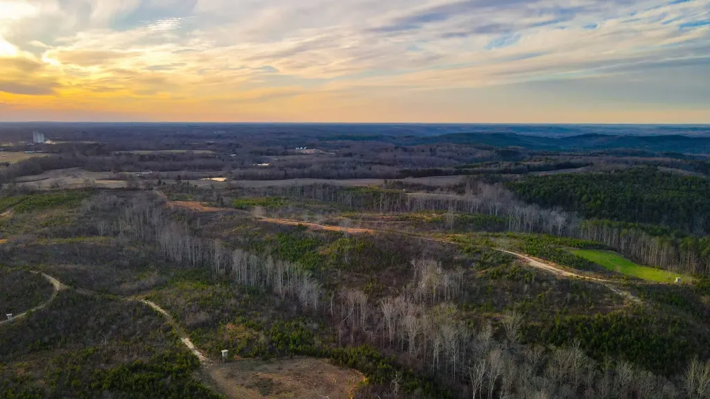 1 County Road 63 Phil Campbell AL 35581