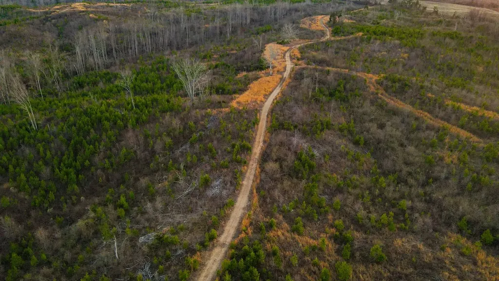 1 County Road 63 Phil Campbell AL 35581