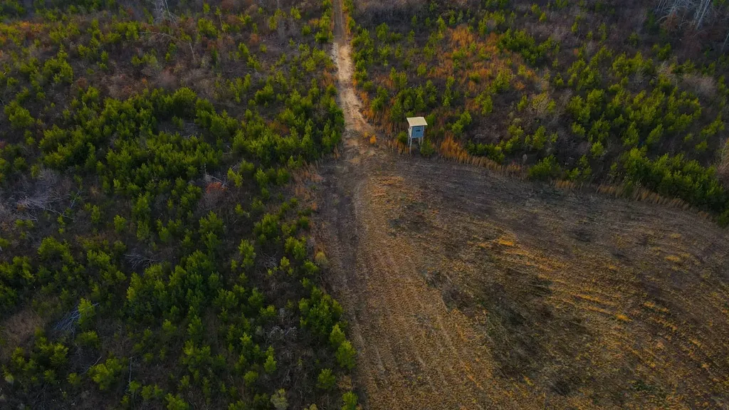 1 County Road 63 Phil Campbell AL 35581