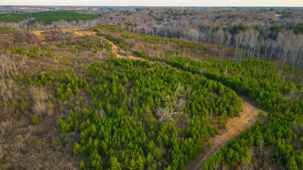 1 County Road 63 Phil Campbell AL 35581