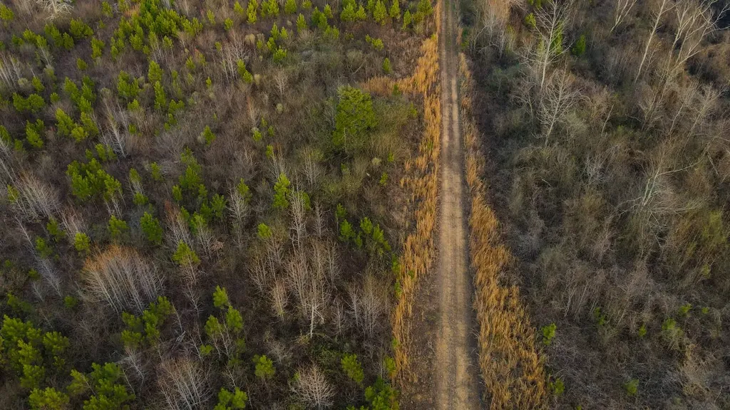 1 County Road 63 Phil Campbell AL 35581