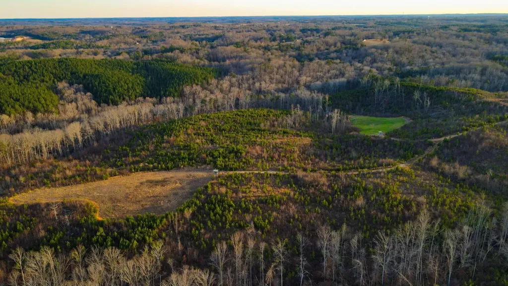 1 County Road 63 Phil Campbell AL 35581