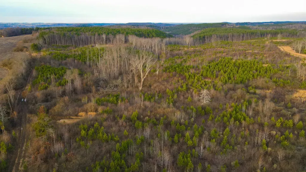 1 County Road 63 Phil Campbell AL 35581