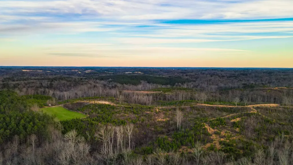 1 County Road 63 Phil Campbell AL 35581