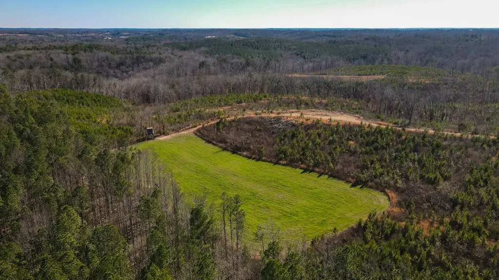 1 County Road 63 Phil Campbell AL 35581