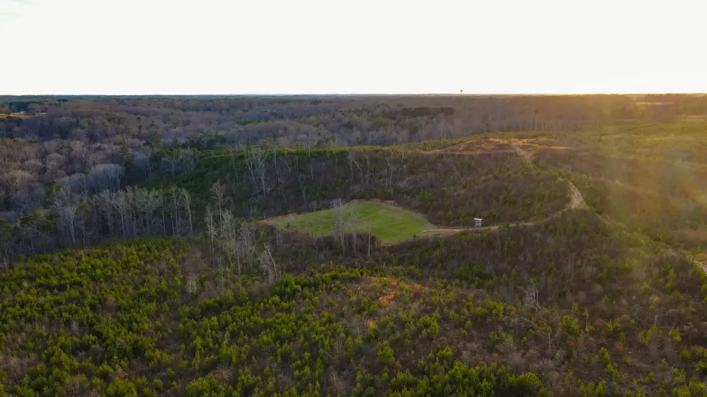 1 County Road 63 Phil Campbell AL 35581