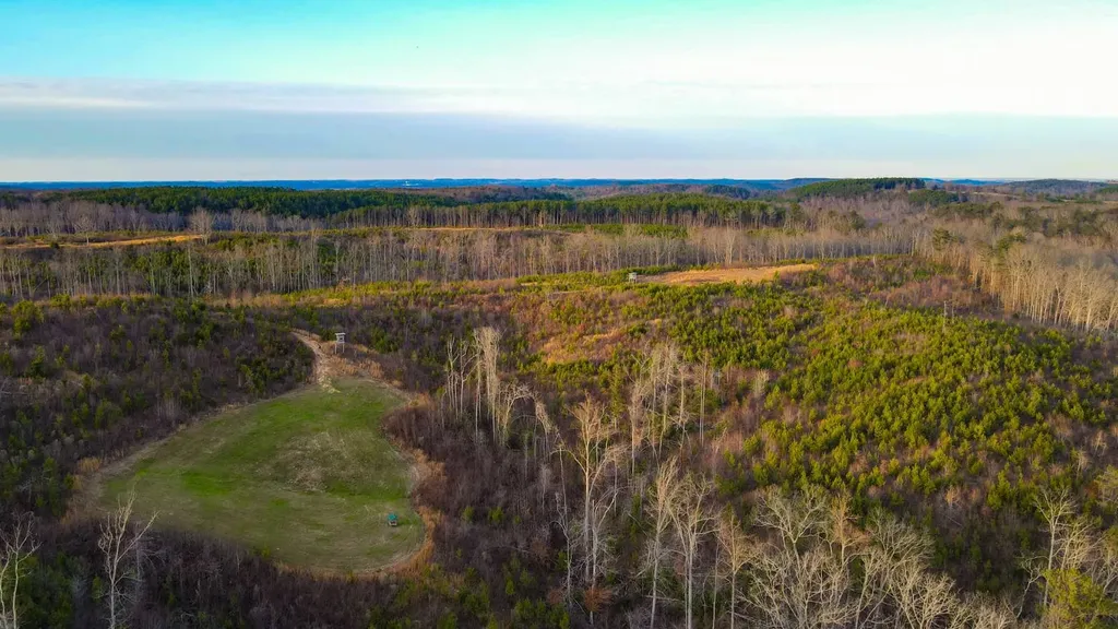 1 County Road 63 Phil Campbell AL 35581