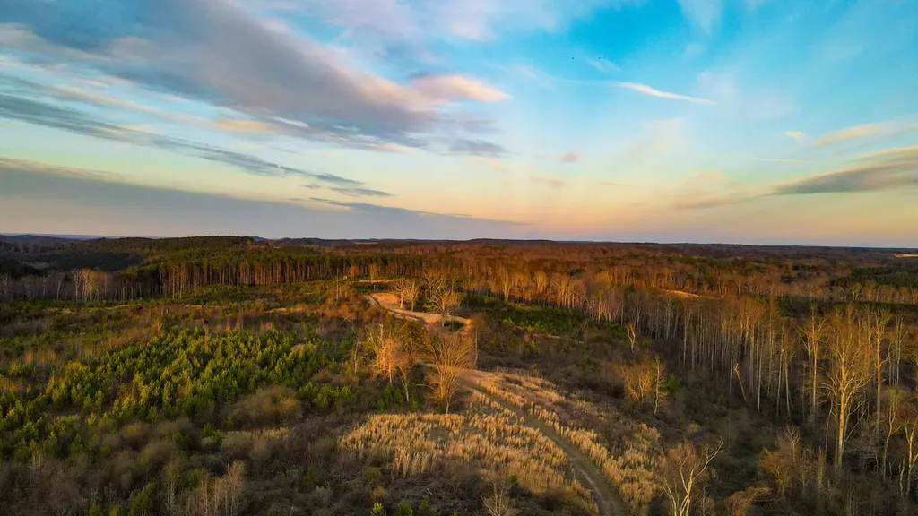 1 County Road 63 Phil Campbell AL 35581