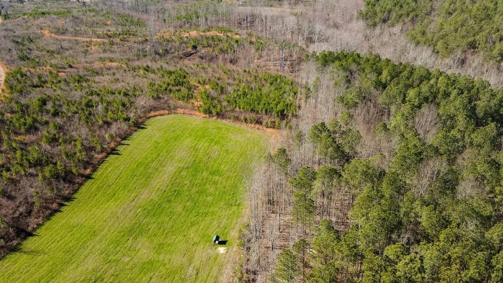 1 County Road 63 Phil Campbell AL 35581