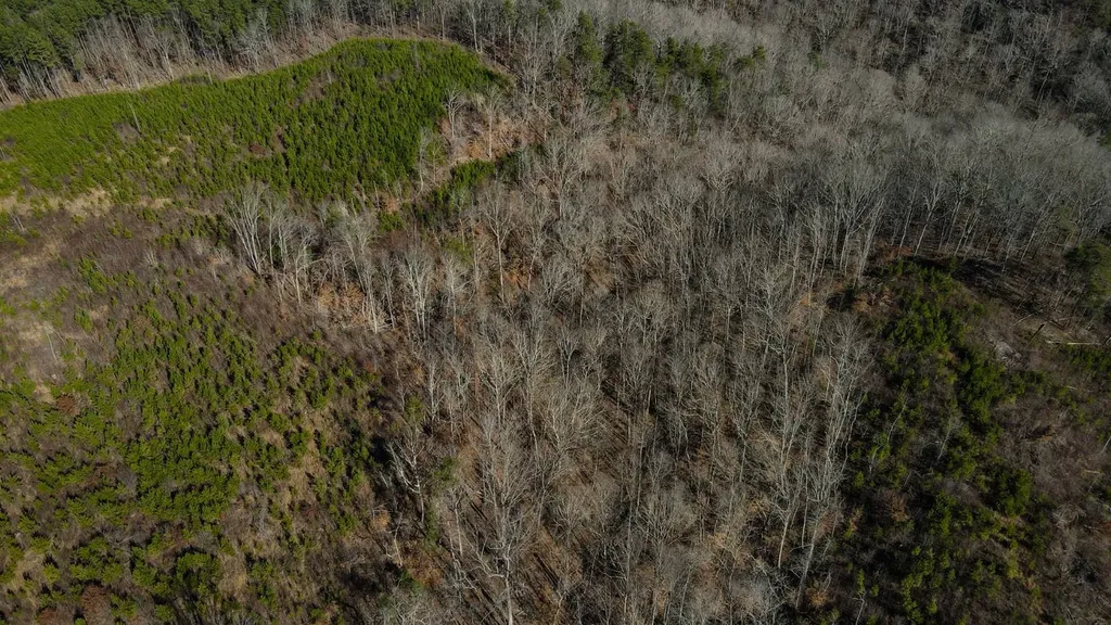 1 County Road 63 Phil Campbell AL 35581