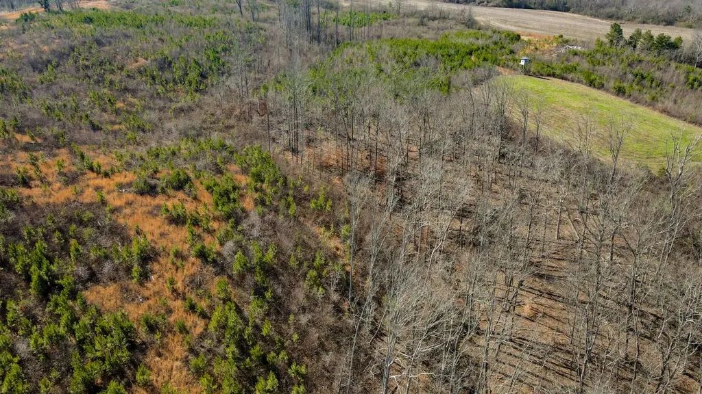 1 County Road 63 Phil Campbell AL 35581