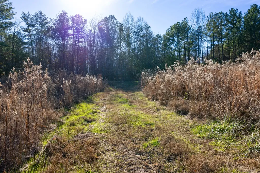 51+/- Acres County Road 33 Oneonta AL 35121