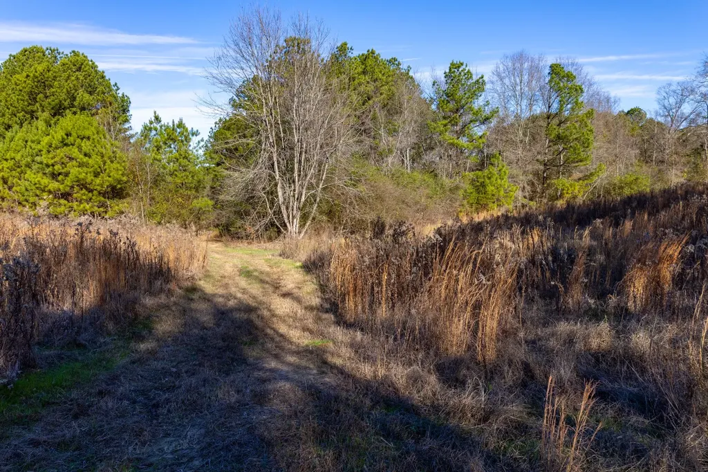 51+/- Acres County Road 33 Oneonta AL 35121