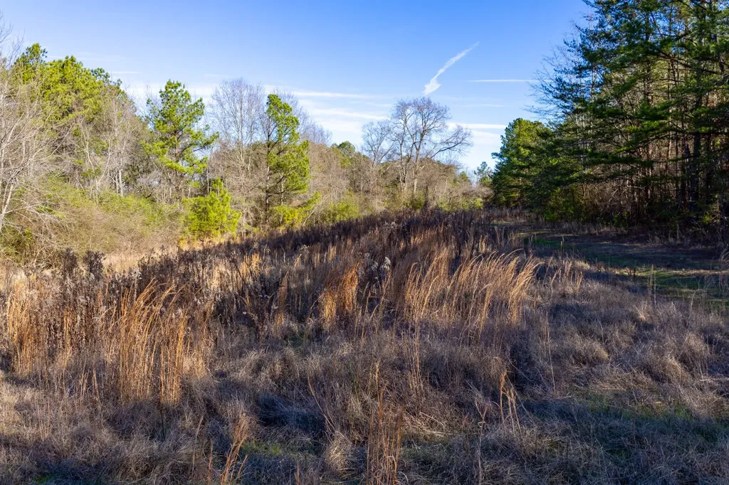 51+/- Acres County Road 33 Oneonta AL 35121