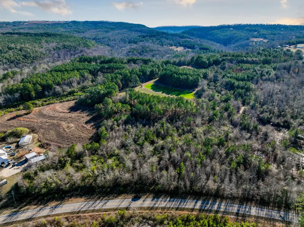 51+/- Acres County Road 33 Oneonta AL 35121