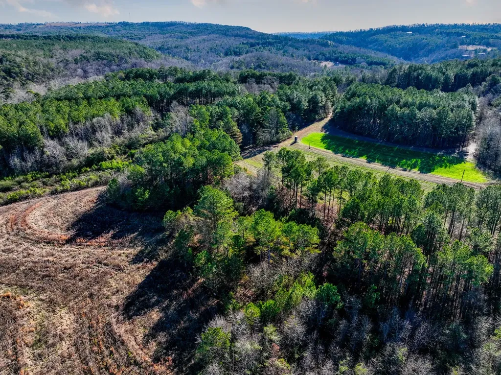 51+/- Acres County Road 33 Oneonta AL 35121