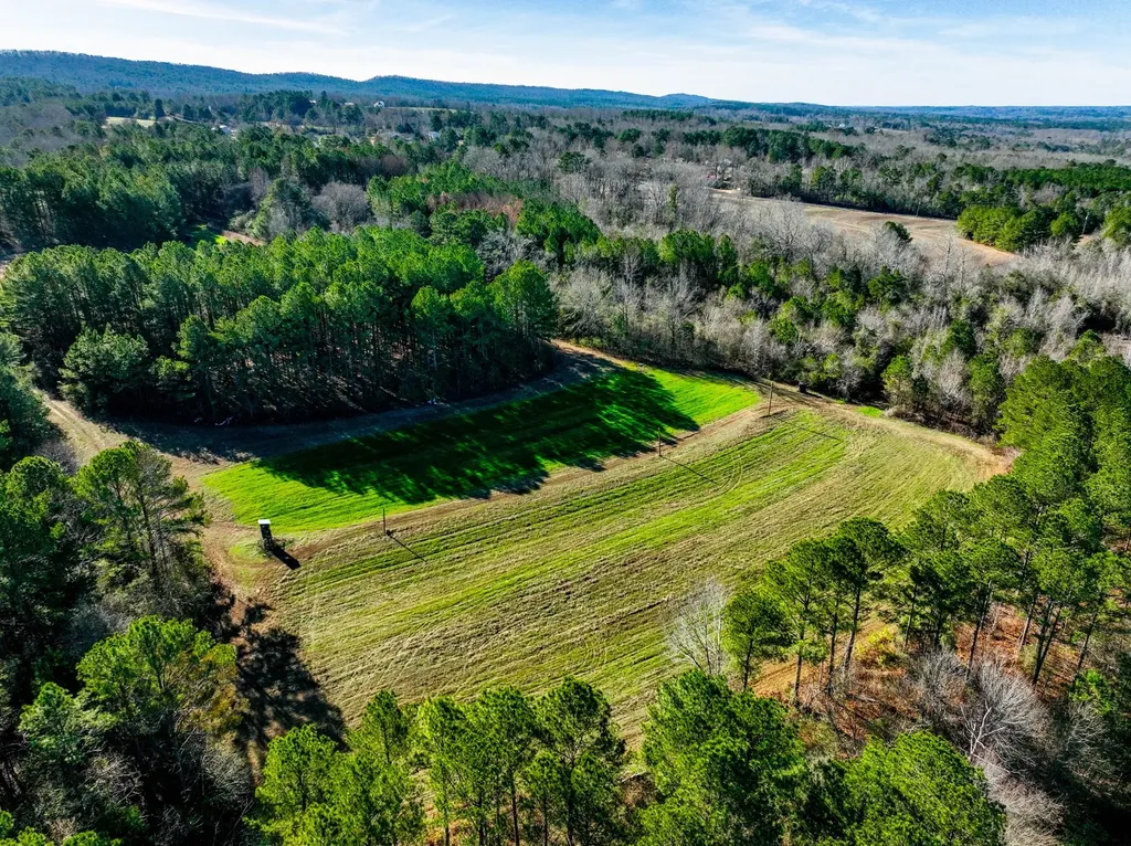 51+/- Acres County Road 33 Oneonta AL 35121